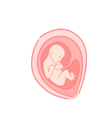 Bebe-rosa-vetor